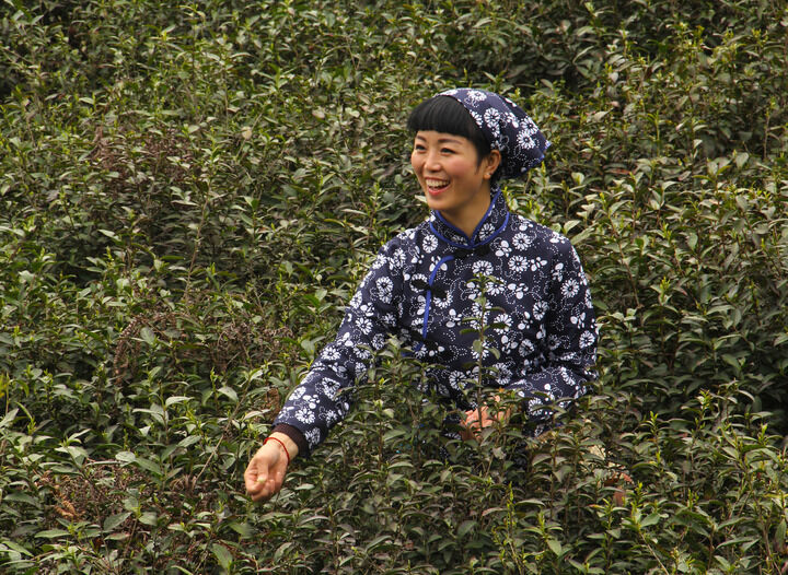 侦探之眼 一对一视频